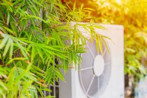 What not to plant around air conditioning units